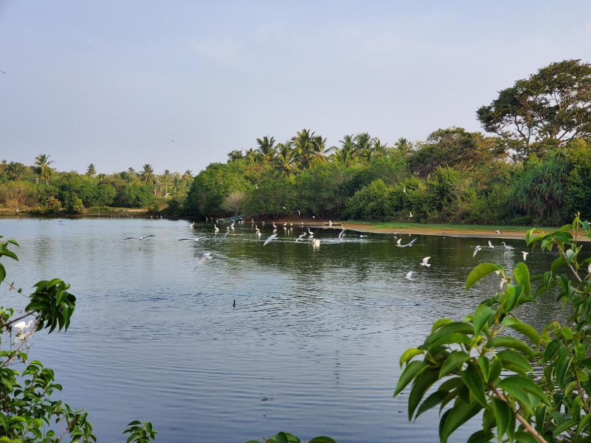 Ceu Ceylon Vila Tangalle Exterior foto